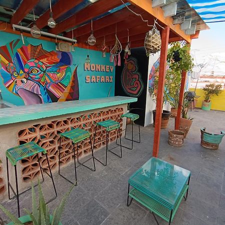 Monkey Safari Hostel Querétaro Exterior foto