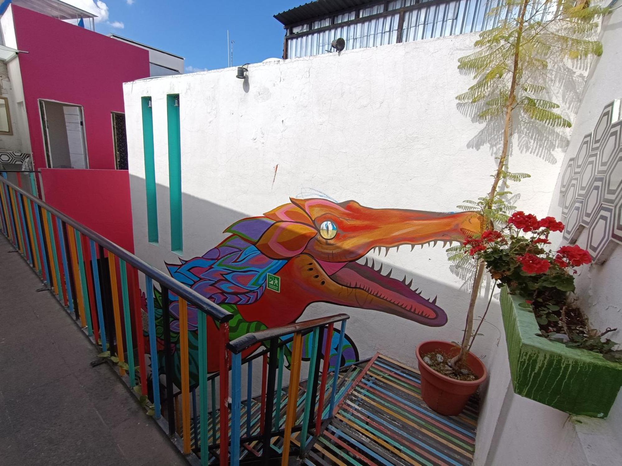 Monkey Safari Hostel Querétaro Exterior foto