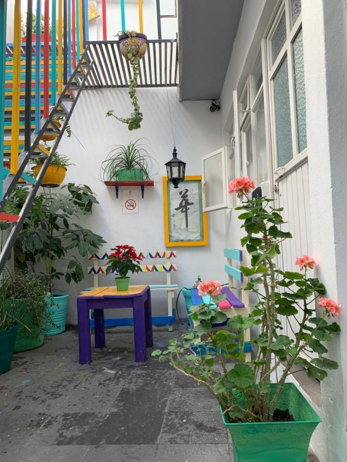 Monkey Safari Hostel Querétaro Exterior foto